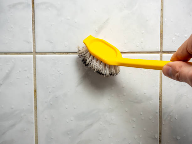 Best Commercial Mold Removal  in Pembroke, VA