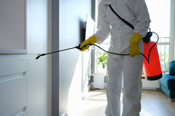 Best Fast Mold Removal  in Pembroke, VA